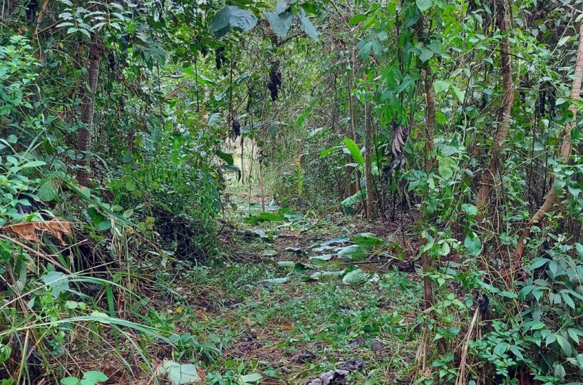 Building Lots for sale in Herradura Bay Costa Rica