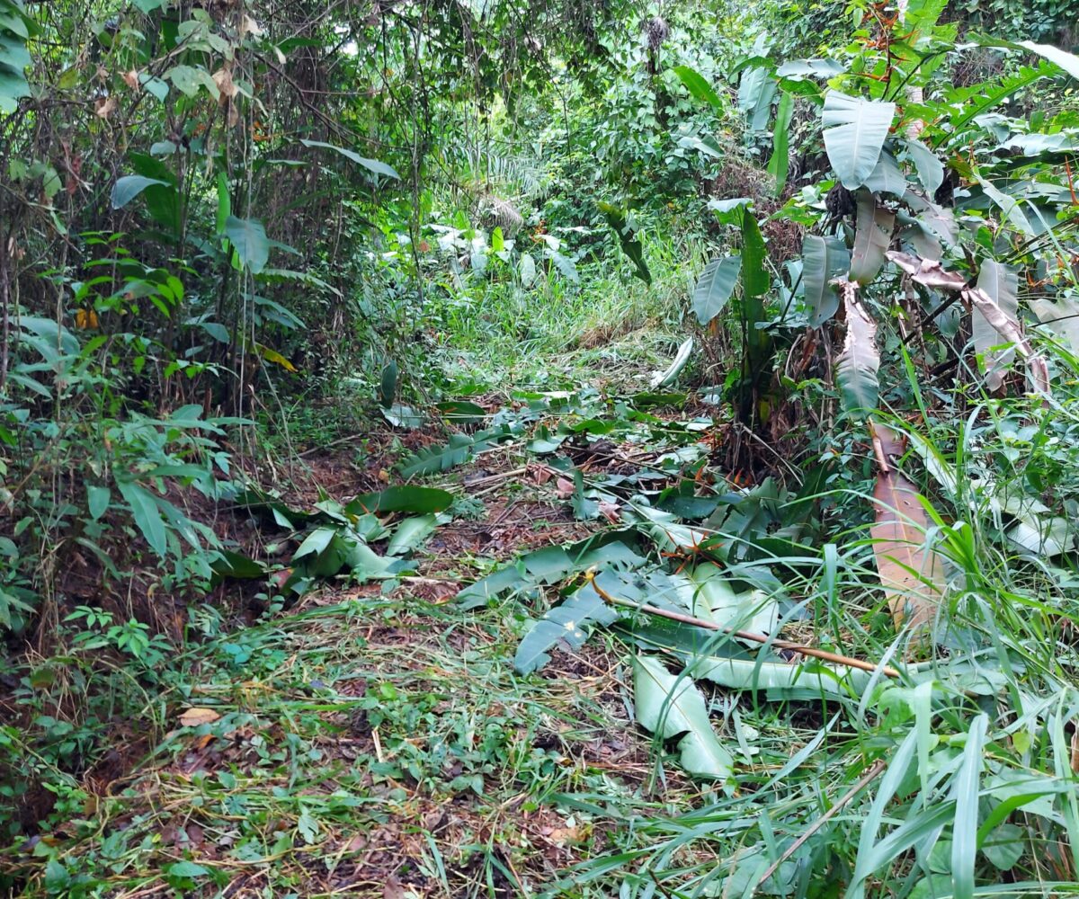 Building Lots for sale in Herradura Bay Costa Rica