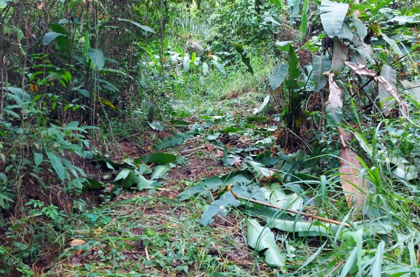 Building Lots for sale in Herradura Bay Costa Rica