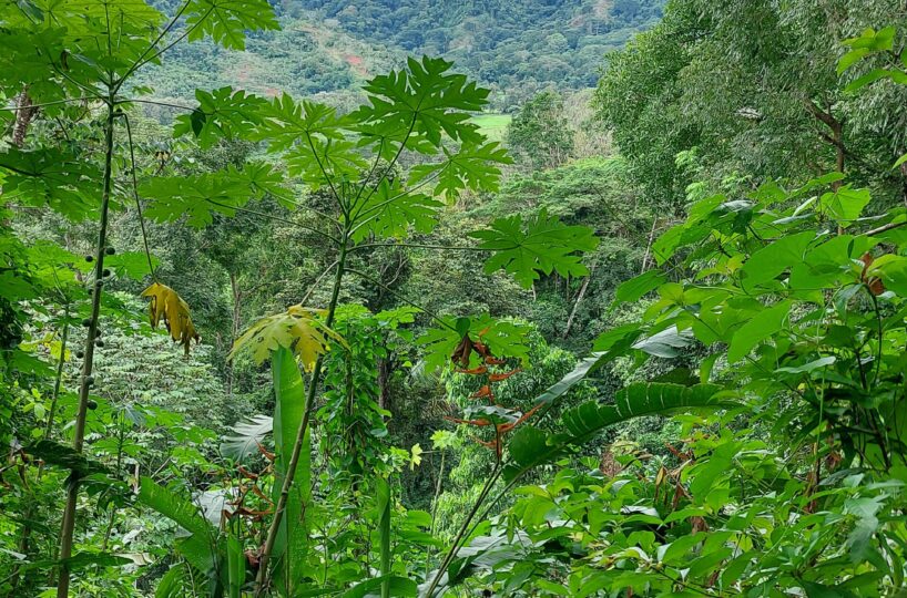 Building Lots for sale in Herradura Bay Costa Rica