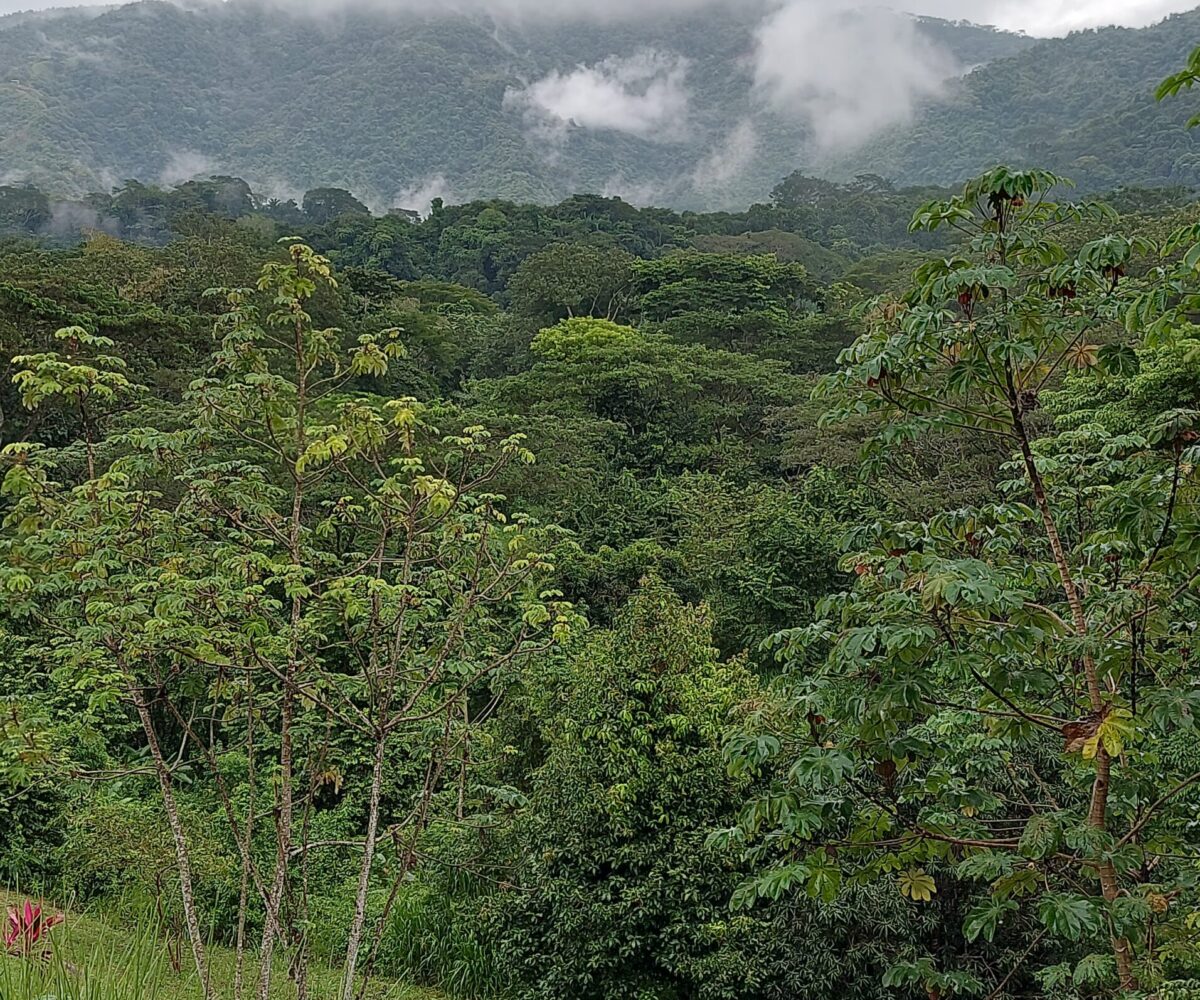 Building Lots for sale in Herradura Bay Costa Rica