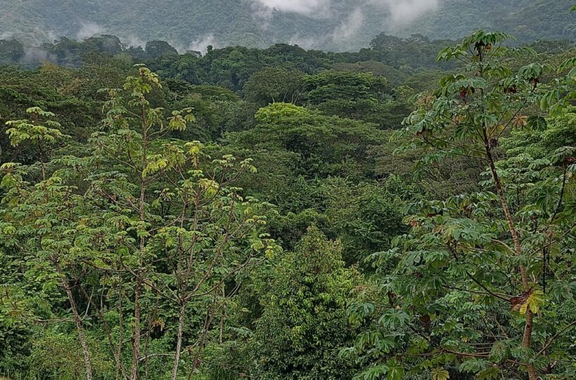 Building Lots for sale in Herradura Bay Costa Rica