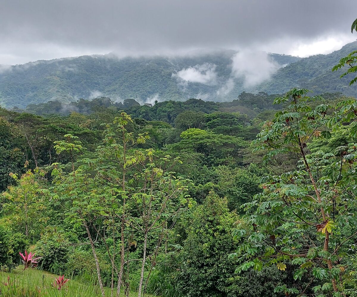 Building Lots for sale in Herradura Bay Costa Rica