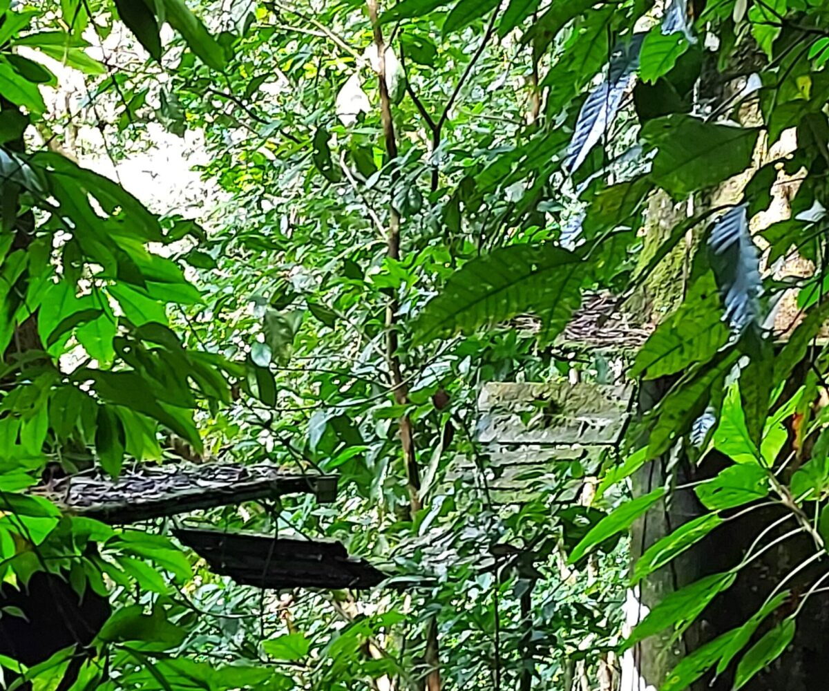 Development Land for sale in Jaco Beach Costa Rica