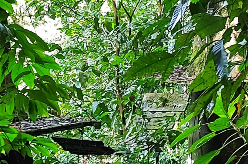 Development Land for sale in Jaco Beach Costa Rica