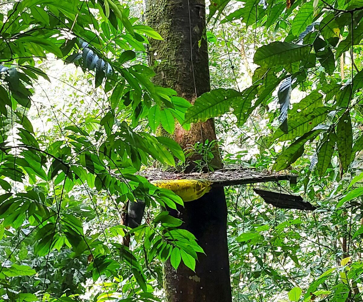 Development Land for sale in Jaco Beach Costa Rica