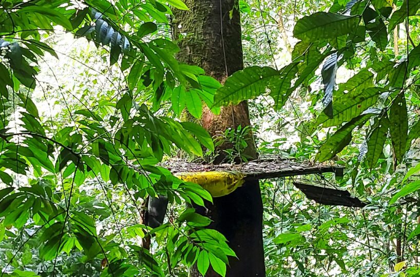 Development Land for sale in Jaco Beach Costa Rica