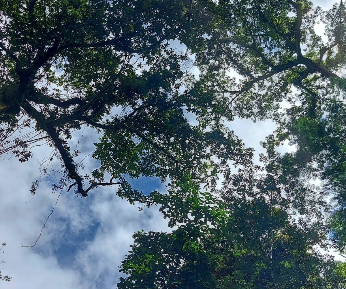 Development Land for sale in Jaco Beach Costa Rica