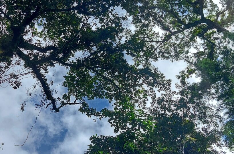 Development Land for sale in Jaco Beach Costa Rica