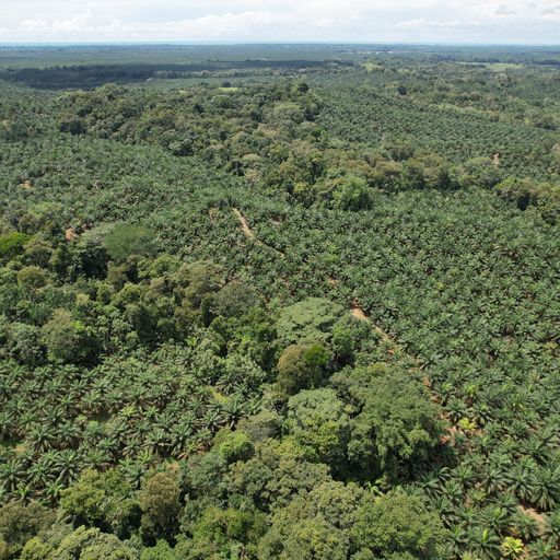 Development LandFarms and Ranches for sale in Parrita Costa Rica