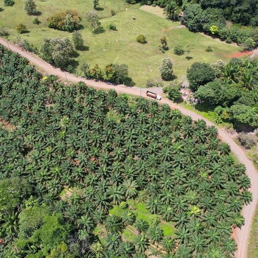 Development LandFarms and Ranches for sale in Parrita Costa Rica