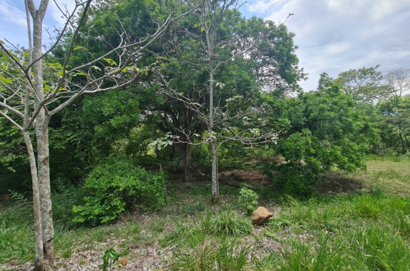 Building Lots for sale in Alajuela Costa Rica