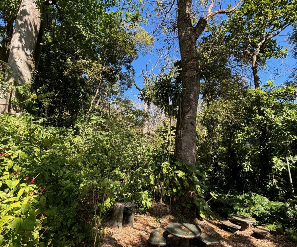 Homes for sale in Alajuela Costa Rica