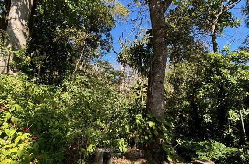 Homes for sale in Alajuela Costa Rica