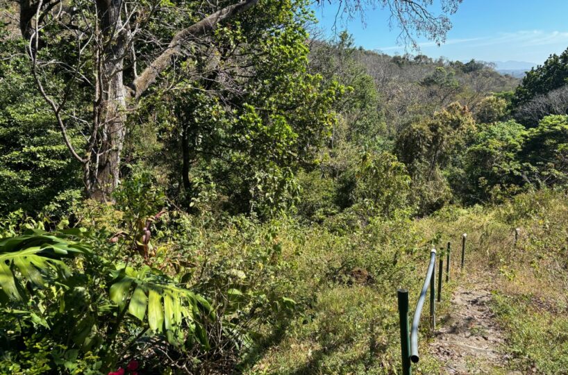 Homes for sale in Alajuela Costa Rica