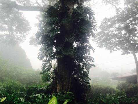 Homes for sale in Alajuela Costa Rica