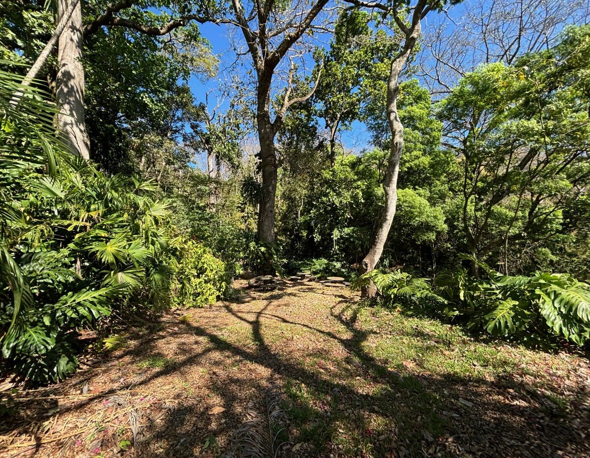 Homes for sale in Alajuela Costa Rica