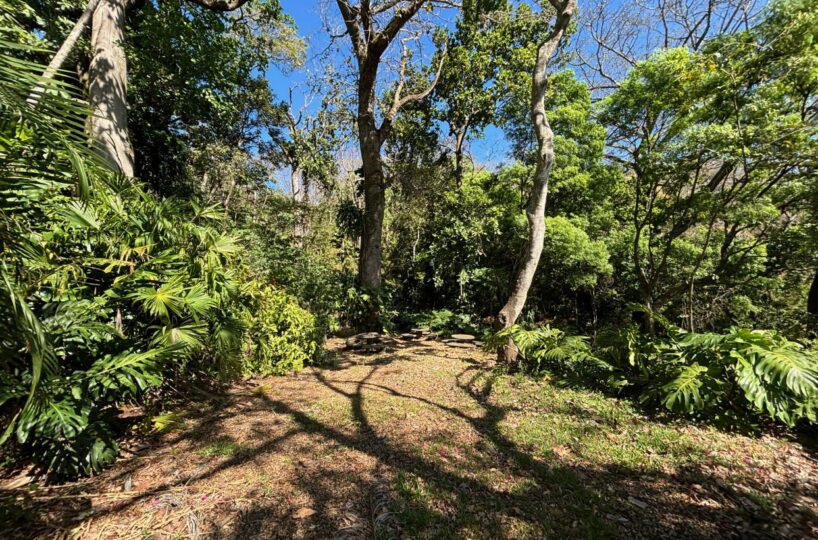 Homes for sale in Alajuela Costa Rica