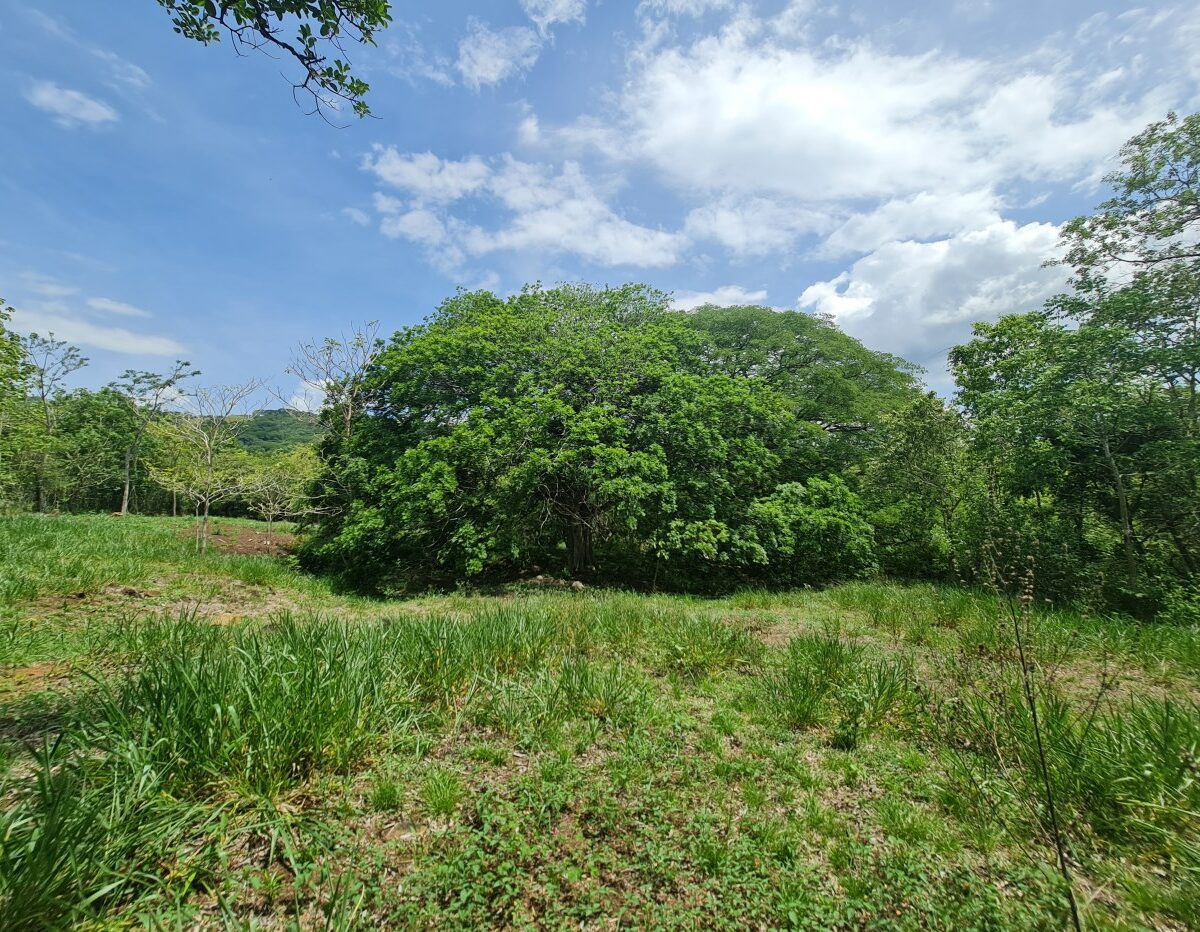 Building Lots for sale in Alajuela Costa Rica