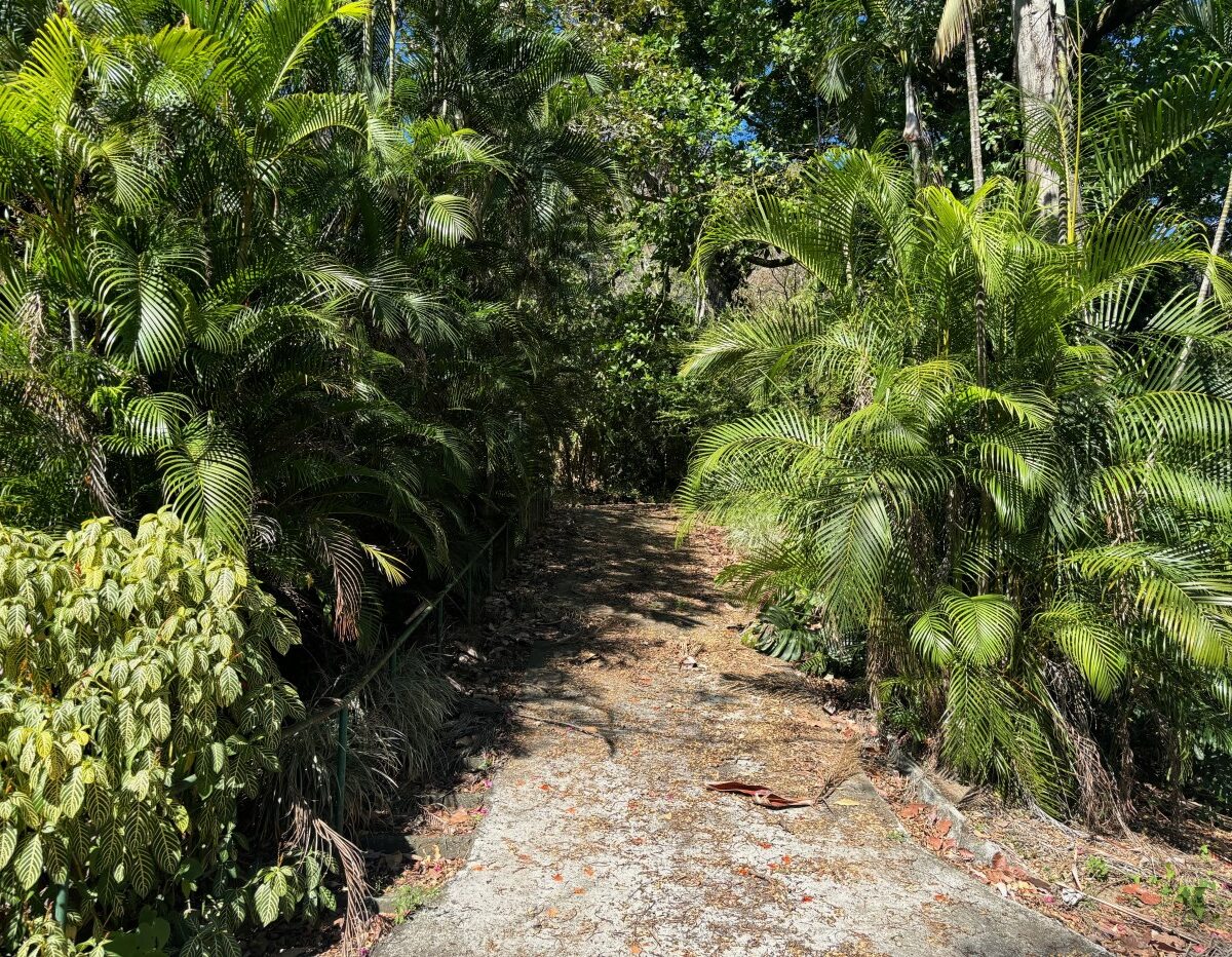 Homes for sale in Alajuela Costa Rica