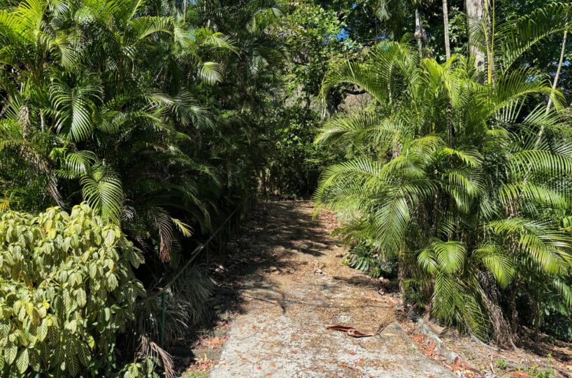 Homes for sale in Alajuela Costa Rica