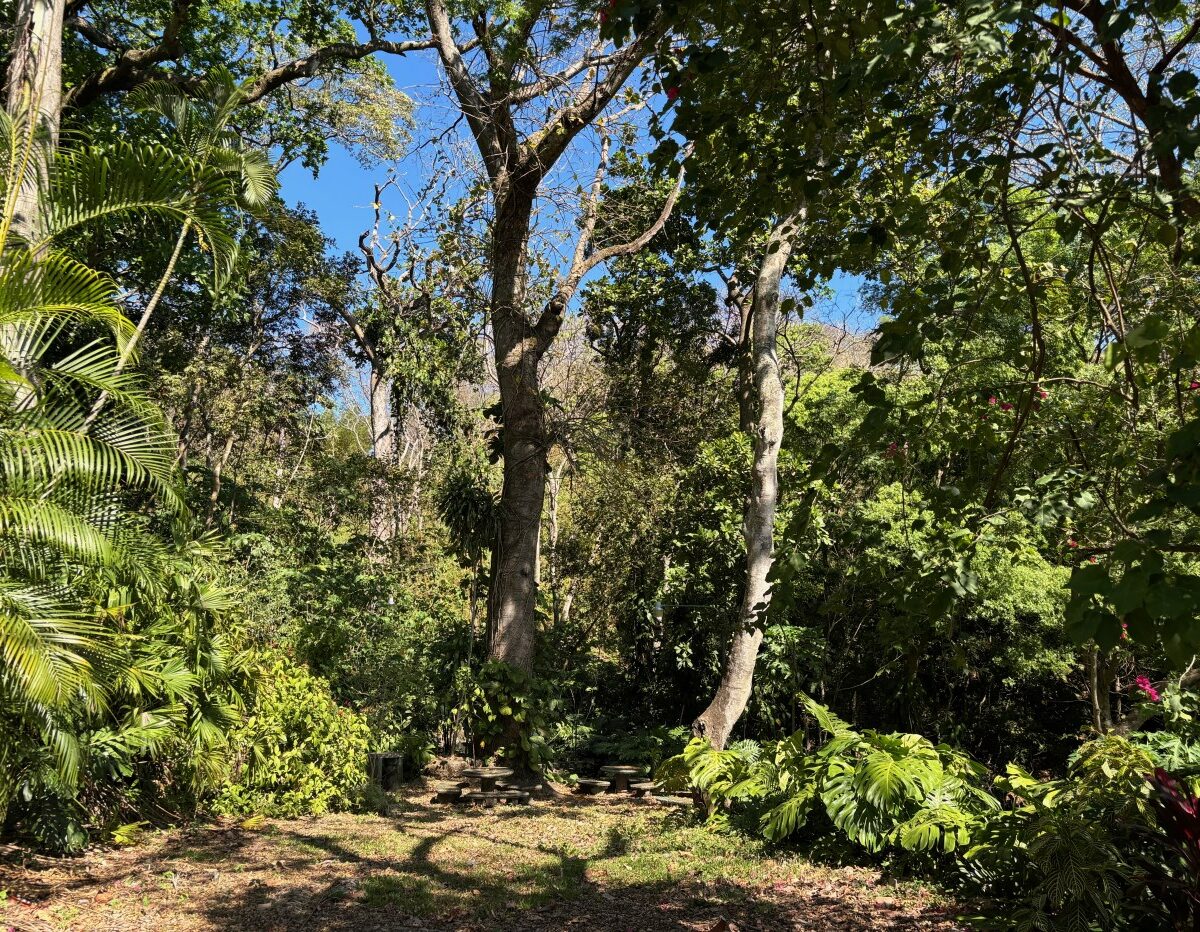 Homes for sale in Alajuela Costa Rica