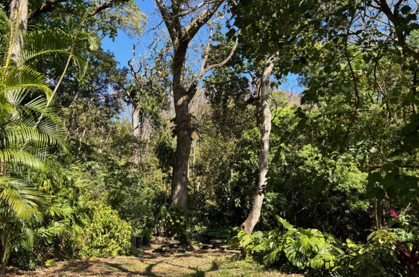 Homes for sale in Alajuela Costa Rica