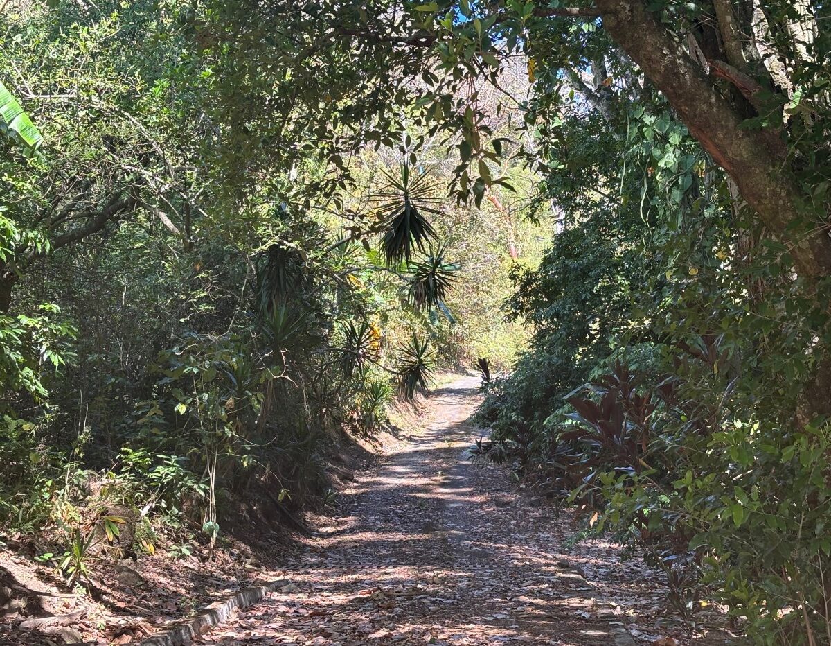 Homes for sale in Alajuela Costa Rica