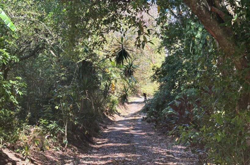 Homes for sale in Alajuela Costa Rica