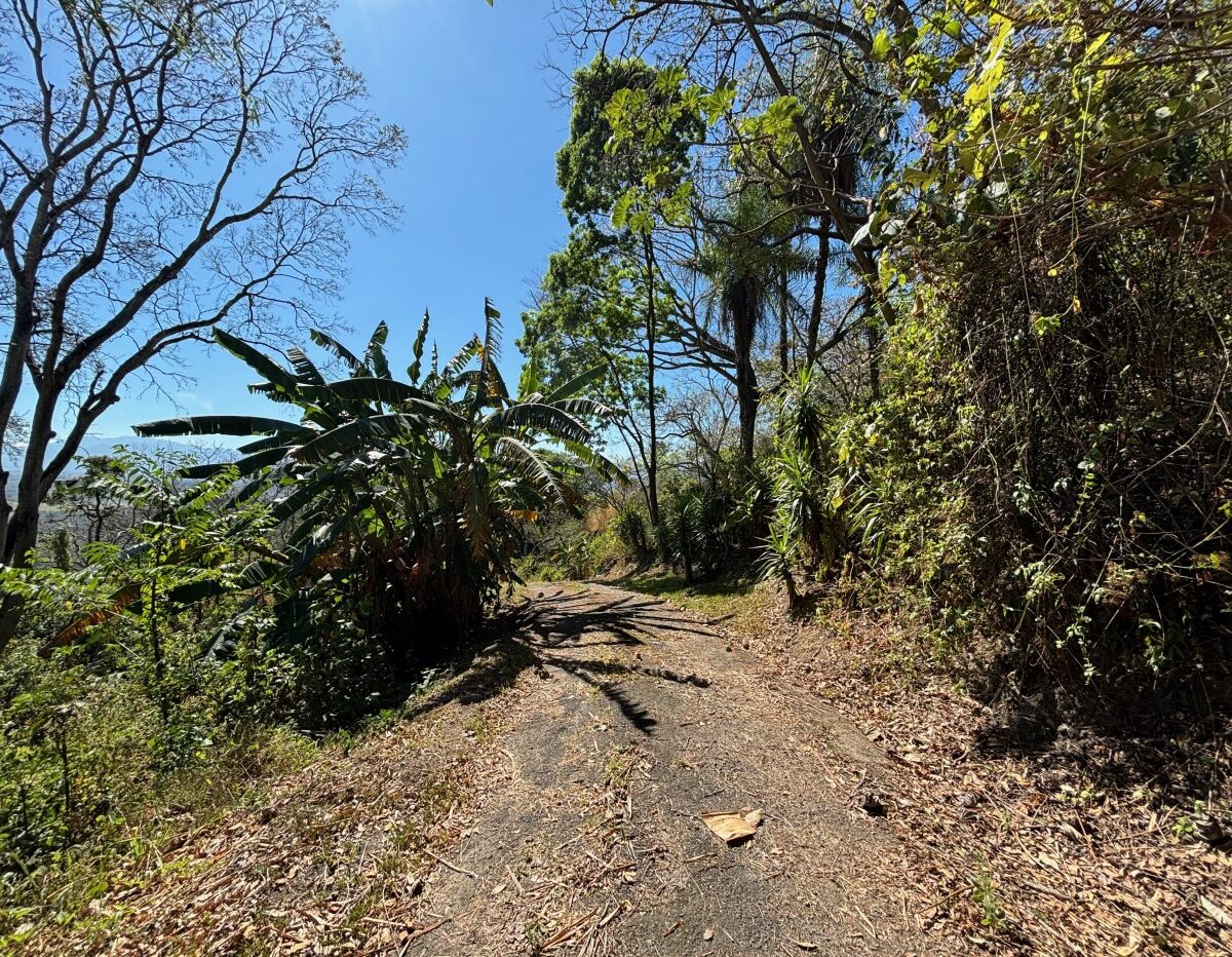 Homes for sale in Alajuela Costa Rica