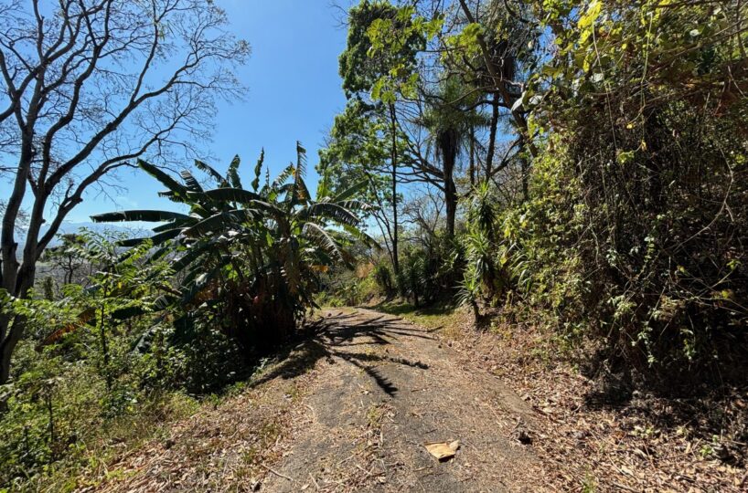 Homes for sale in Alajuela Costa Rica