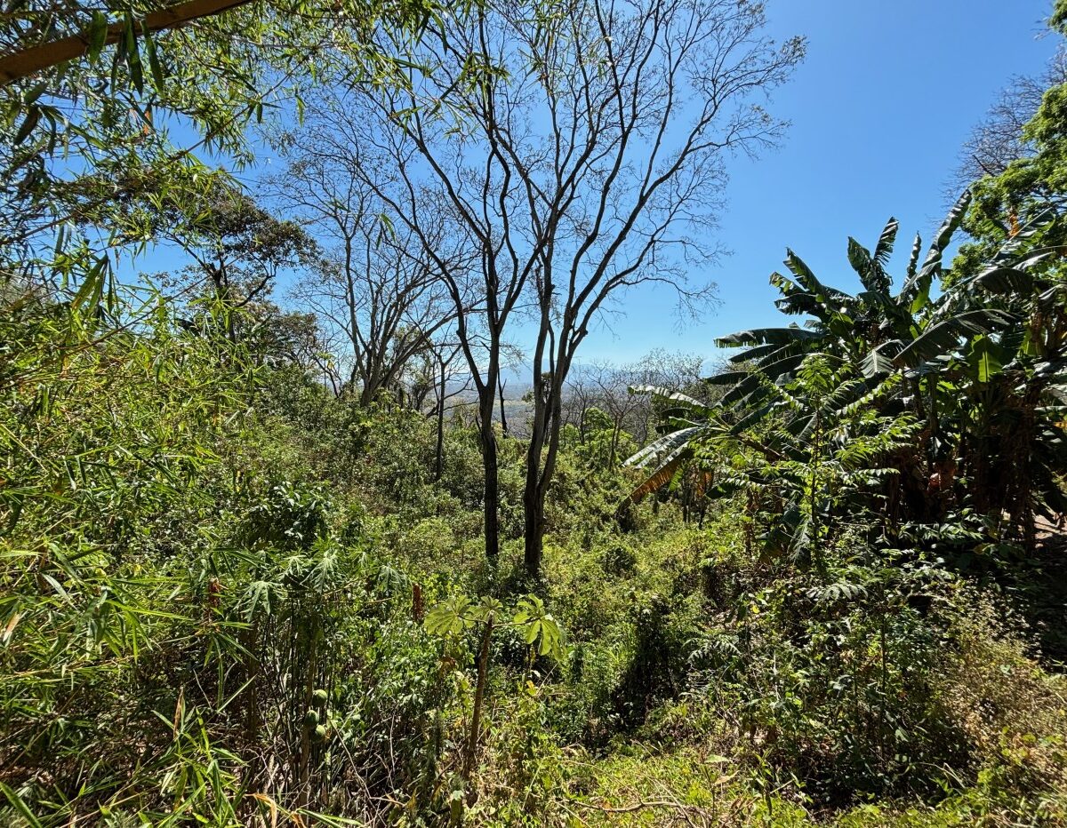 Homes for sale in Alajuela Costa Rica
