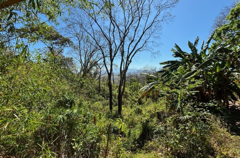 Homes for sale in Alajuela Costa Rica