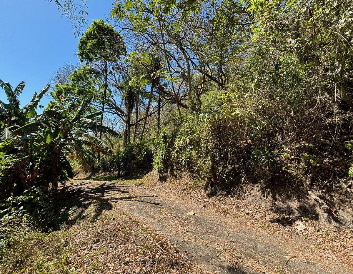 Homes for sale in Alajuela Costa Rica