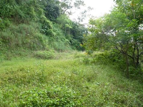Building Lots for sale in Alajuela Costa Rica