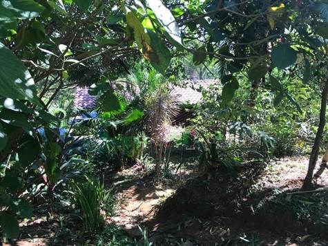 Homes for sale in Alajuela Costa Rica