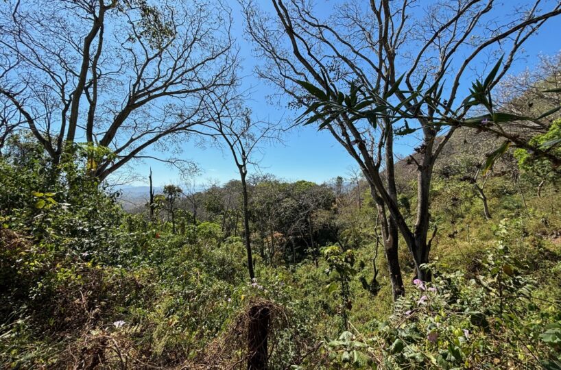 Homes for sale in Alajuela Costa Rica