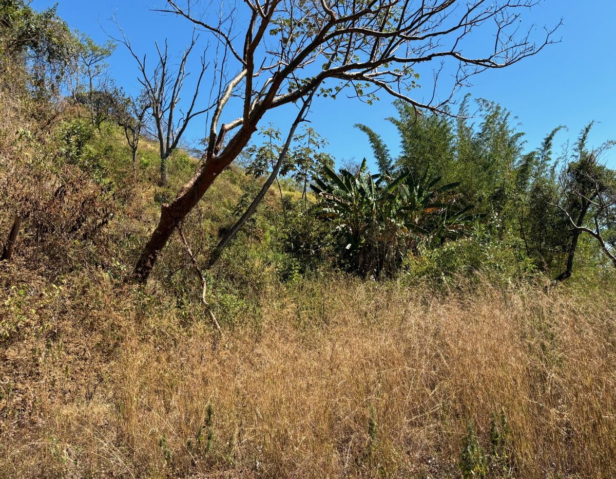 Homes for sale in Alajuela Costa Rica