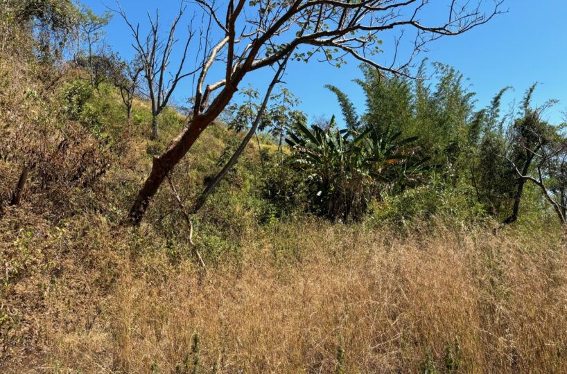 Homes for sale in Alajuela Costa Rica