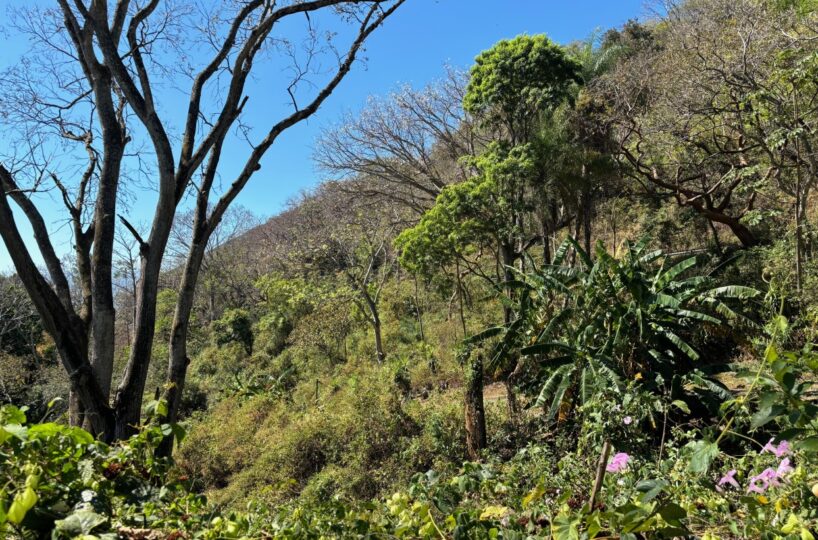 Homes for sale in Alajuela Costa Rica