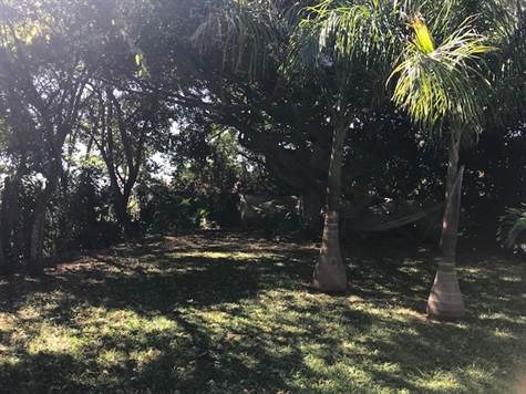 Homes for sale in Alajuela Costa Rica