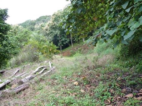 Building Lots for sale in Alajuela Costa Rica