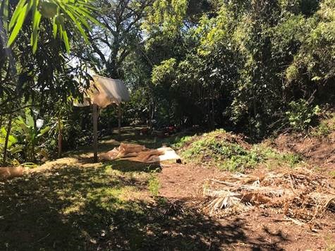 Homes for sale in Alajuela Costa Rica