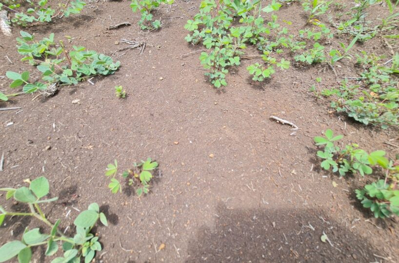 Building Lots for sale in Alajuela Costa Rica