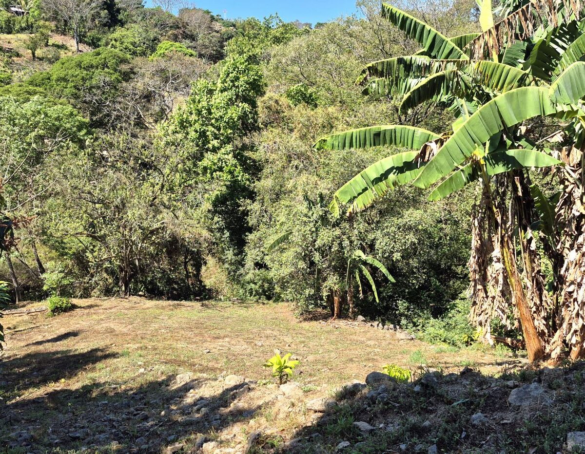 Building Lots for sale in Atenas Costa Rica