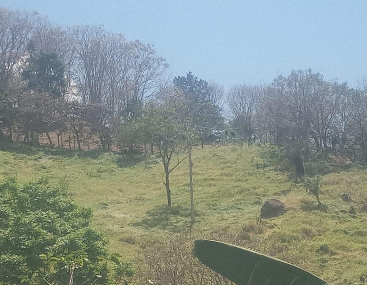 Building Lots for sale in Atenas Costa Rica