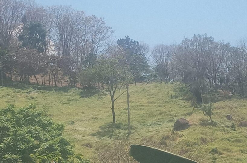 Building Lots for sale in Atenas Costa Rica