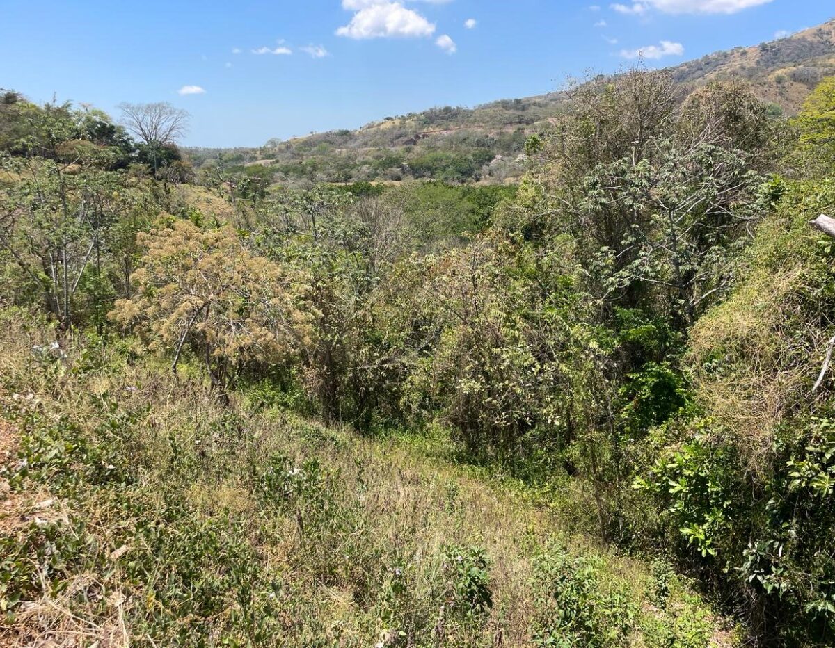 Building Lots for sale in Atenas Costa Rica