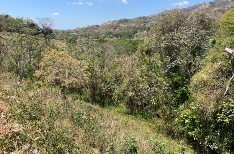 Building Lots for sale in Atenas Costa Rica