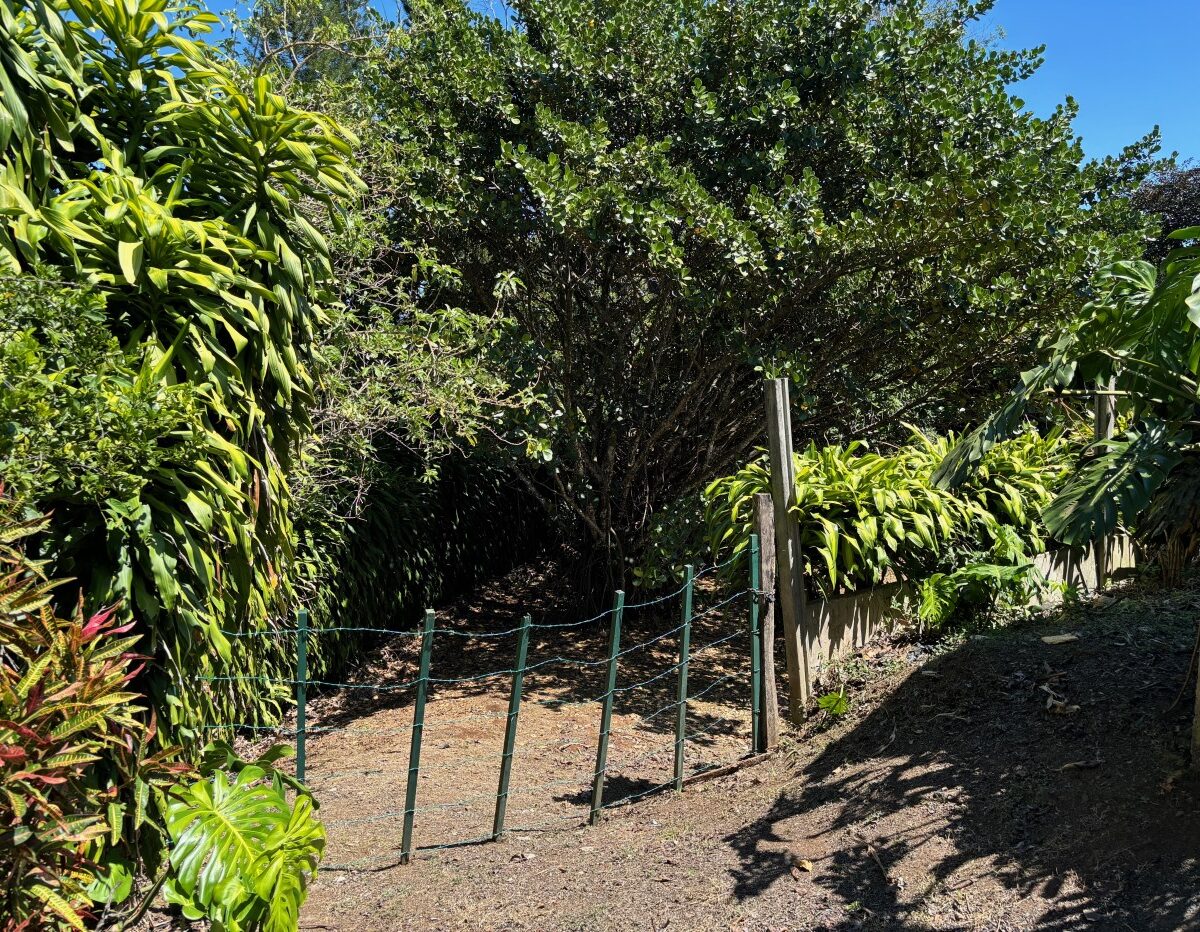 Building Lots for sale in Atenas Costa Rica